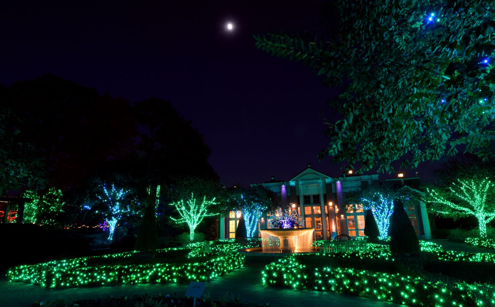 Garden Lights