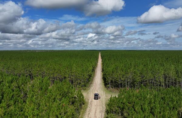 This aerial photo from 2025 shows vast timberland owned by Toledo Manufacturing at the crest of Trail Ridge, a mineral-rich sand dune complex east of the Okefenokee Swamp. (Hyosub Shin/AJC)