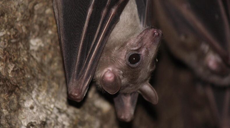 FILE PHOTO (Sgarton/Morguefile license: https://morguefile.com/license)