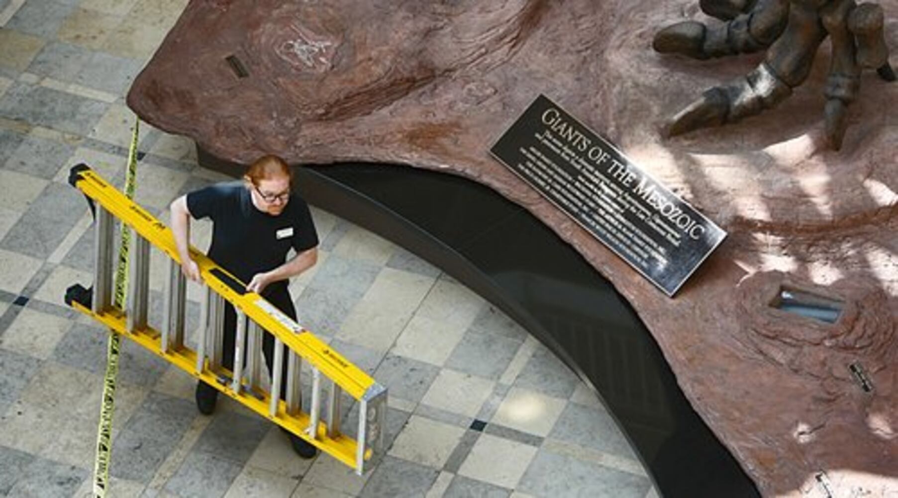 Atlanta dinosaurs get all cleaned up