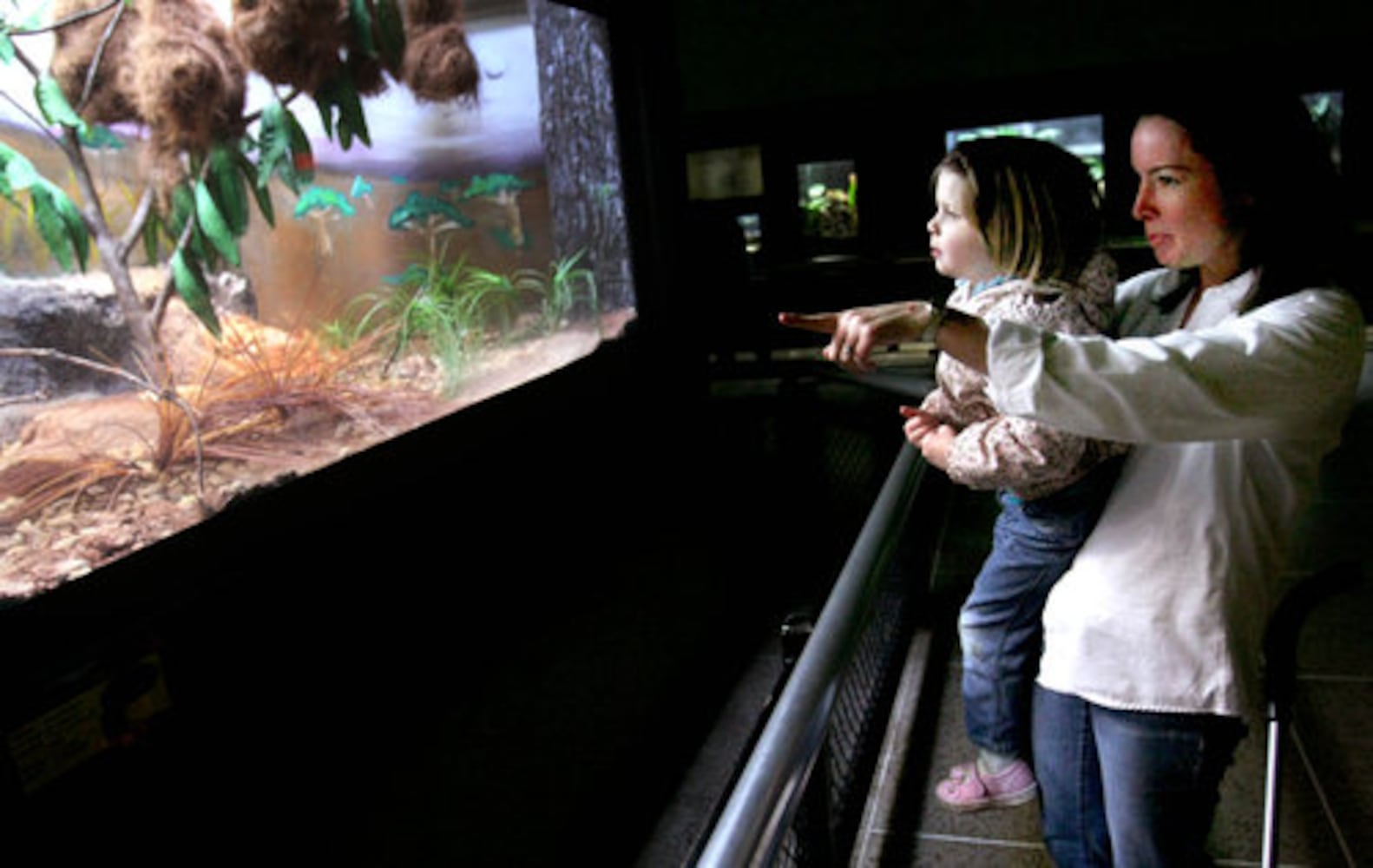 Zoo plans new reptile exhibit