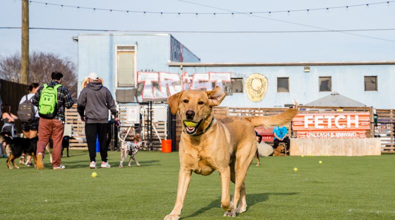 Matt Matuszewski and his yellow lab Murphy play at Fetch Park at Boulevard and DeKalb Ave on Friday,  March 12, 2021.  (Jenni Girtman for The Atlanta Journal-Constitution)