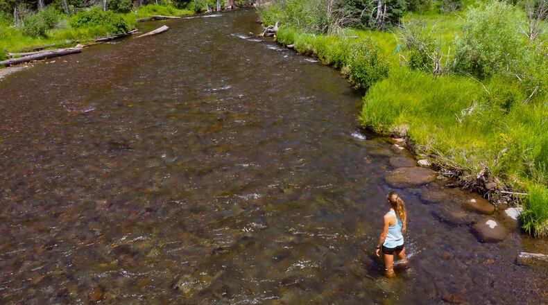A panel of lawmakers, officials with the state Environmental Protection Division and other water quality experts is working to sort out any questions about the way stream buffers for developments are implemented and enforced in Georgia.