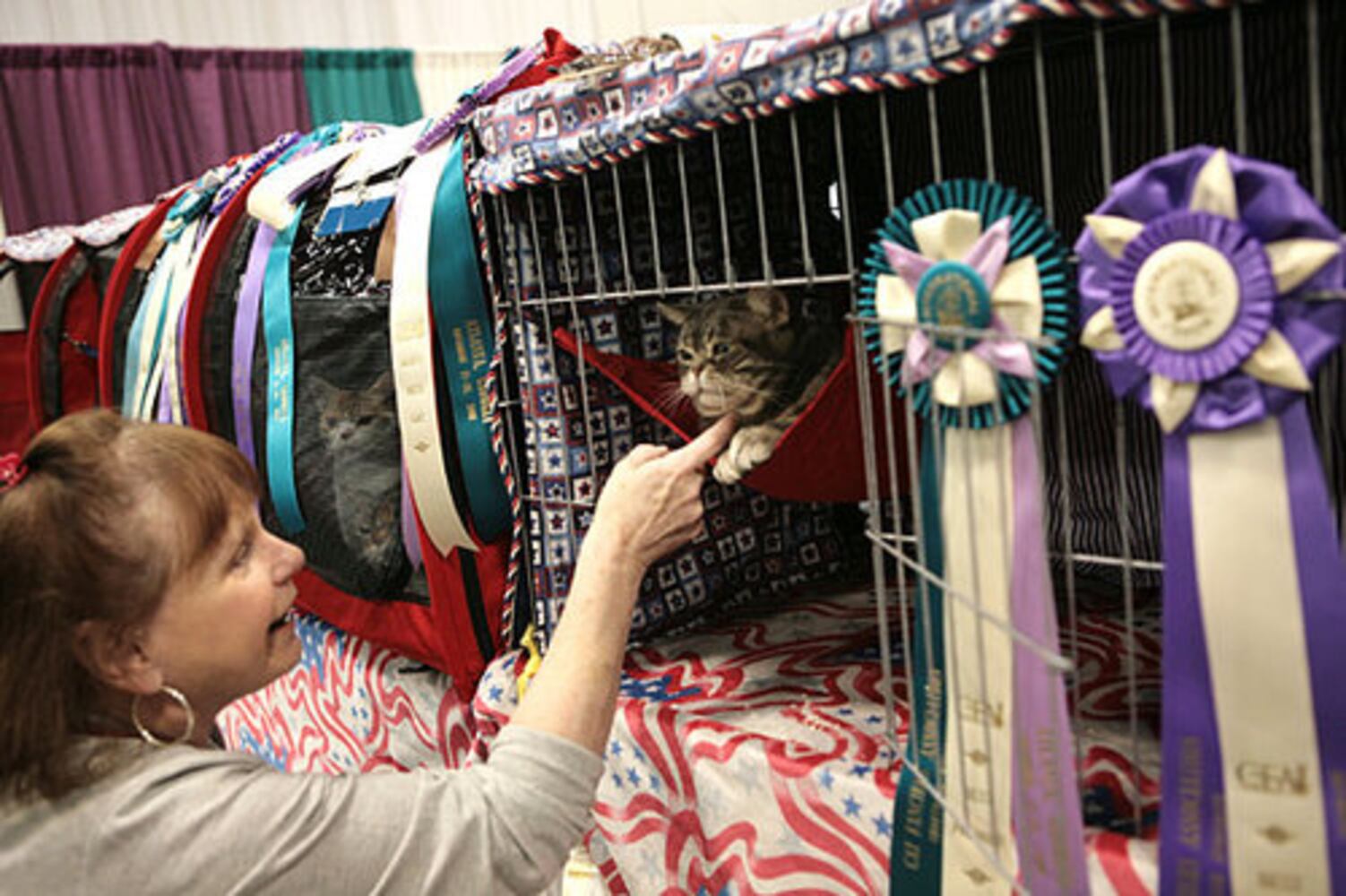 CFA International Cat Show