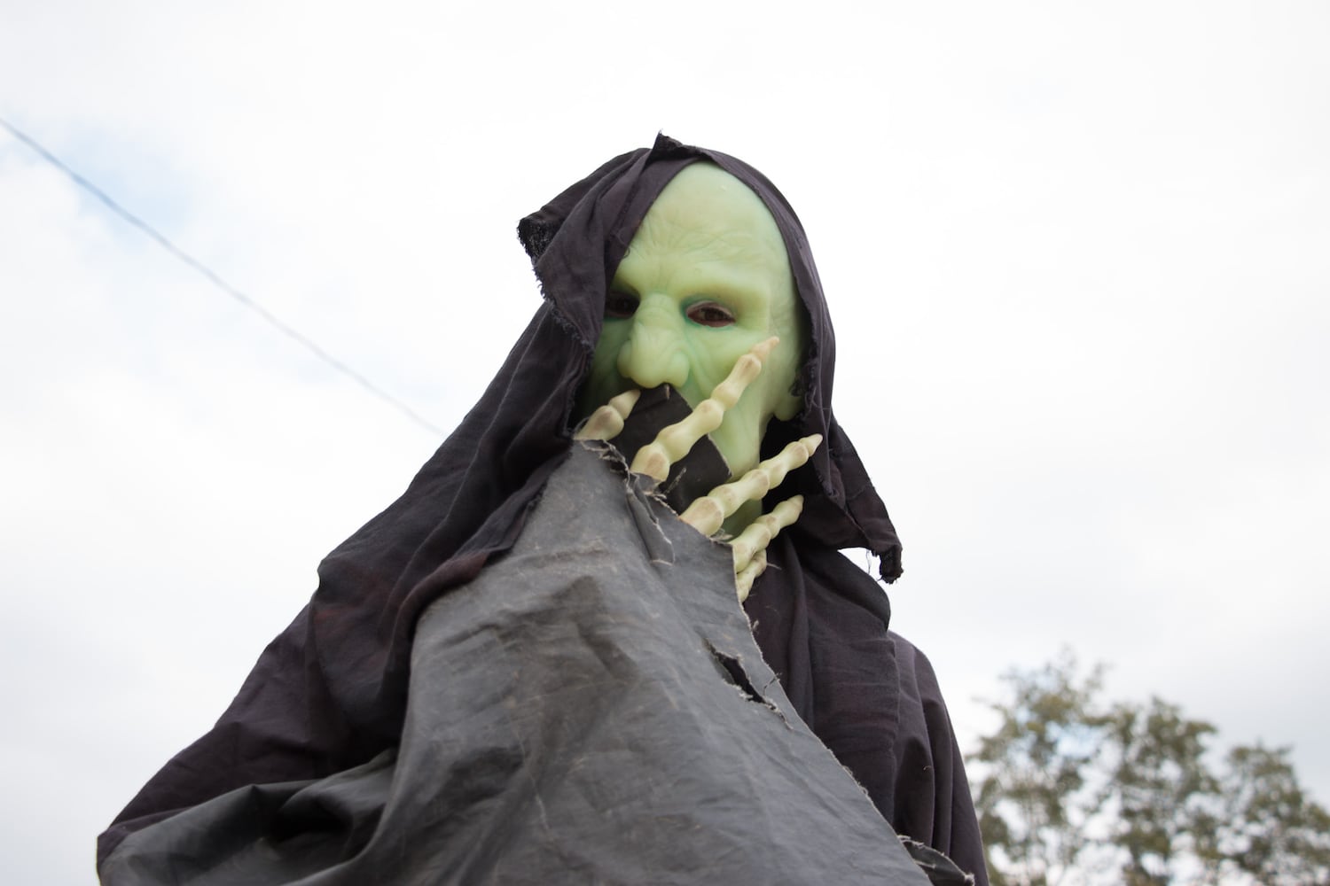 Photos: Revelers and costumes at the 2016 L5P Halloween Parade