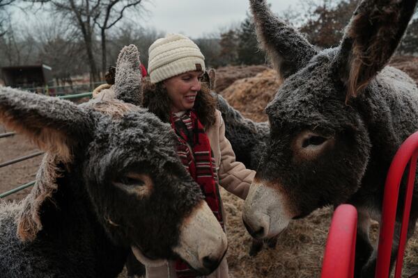 Saundra Traywick pets some of her donkeys, Tuesday, Feb. 18, 2025, at her farm in Luther, Okla. (AP Photo/Joshua A. Bickel)