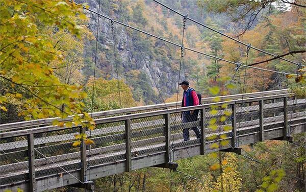 This suspension bridge sways 80 feet above ground at Tallulah Gorge State Park.
