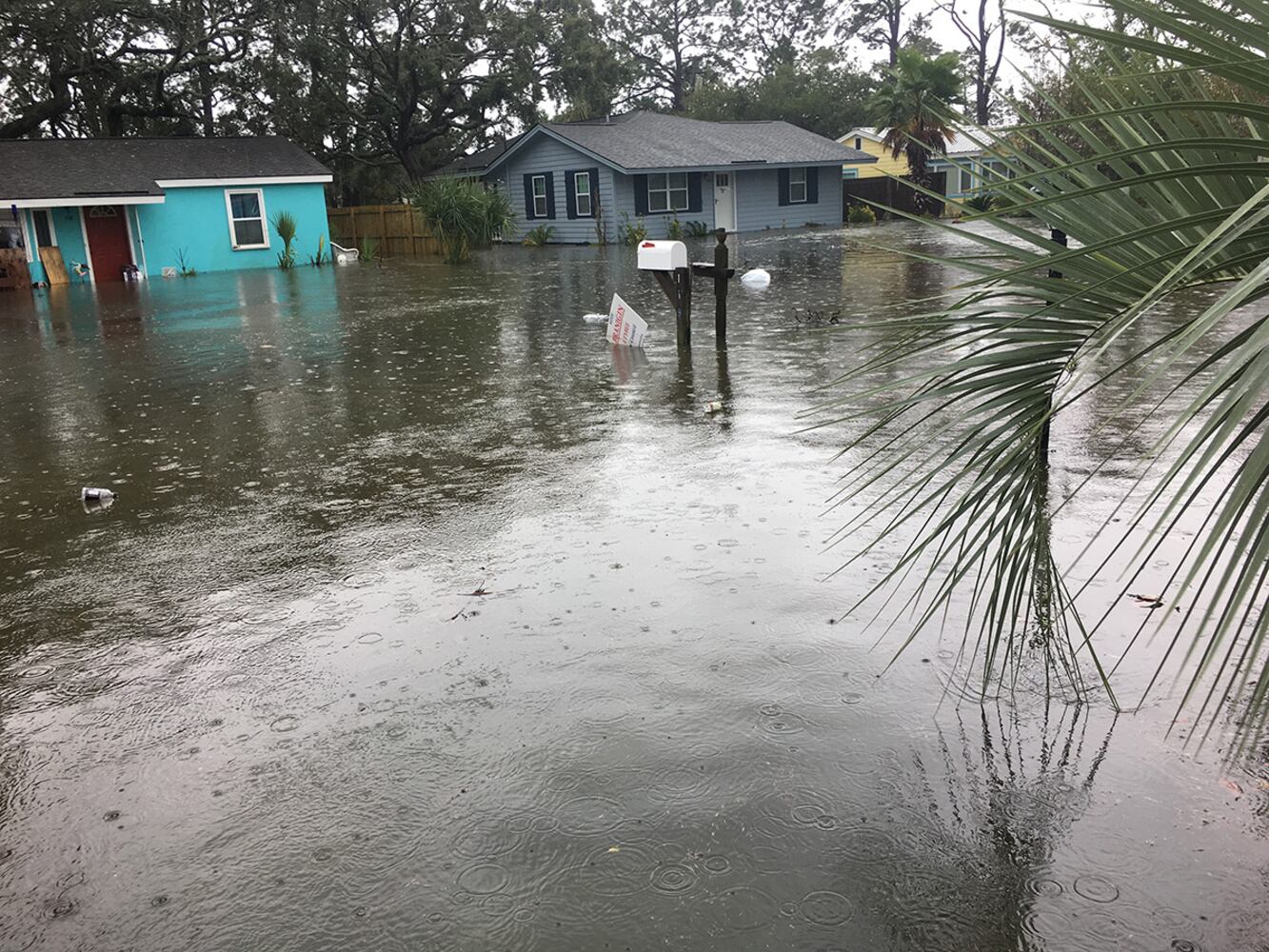 Photos: Irma arrives in Georgia