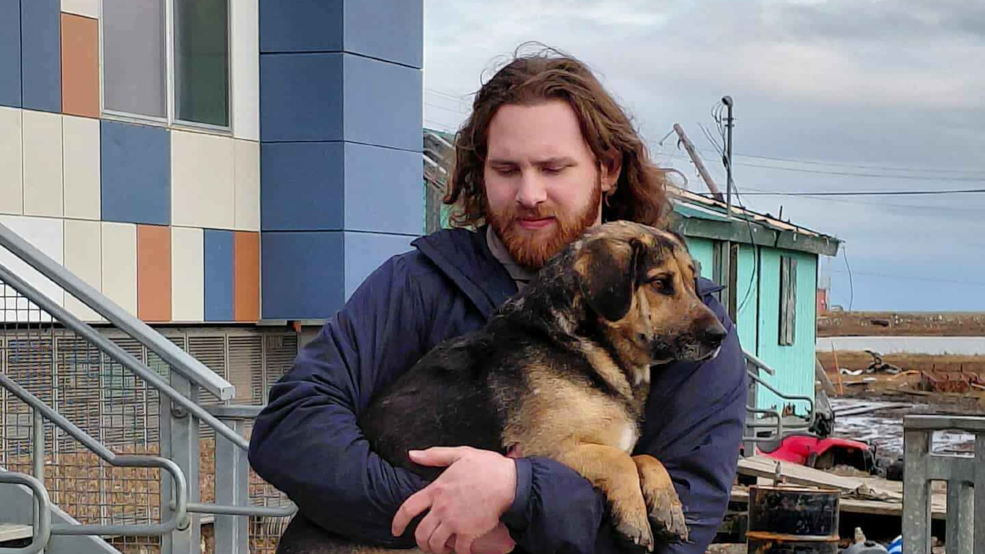 In this photo provided by Jacqui Lang, a dog is rescued in Kipnuk, Alaska, Wednesday, Oct. 15, 2025, to be flown to an animal shelter in Bethel, Alaska, as its owner had evacuated. (Jacqui Lang via AP)