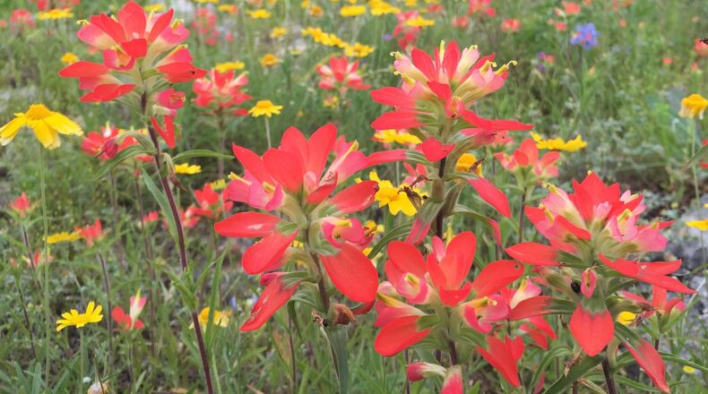 The high for Sunday is expected to be 81 degrees in Atlanta.