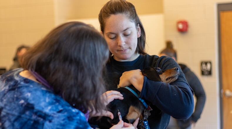 Gwinnett Animal Welfare and Enforcement offers free pet vaccinations and microchips to the first 500 animals at the Best Friend Pet and Safety Festival in 2019. Gwinnett Animal Welfare and Enforcement typically hosts and participates in local events, providing services and resources in an effort to increase community education and outreach and maintain a healthy pet population. (Courtesy Gwinnett Animal Welfare and Enforcement)