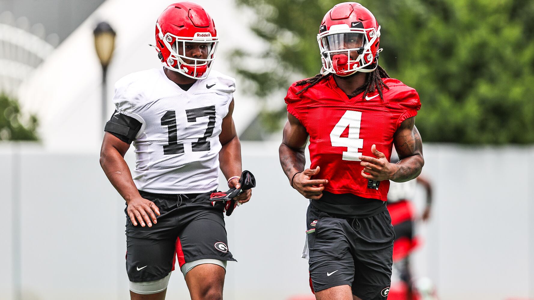 Georgia Bulldogs