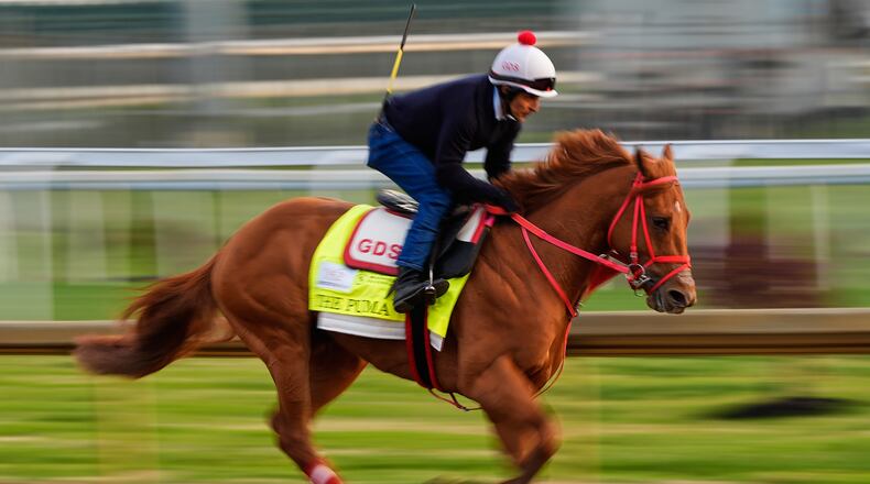 Kentucky Derby entrant The Puma works out at Churchill Downs Friday, May 1, 2026, in Louisville, Ky. (AP Photo/Charlie Riedel)