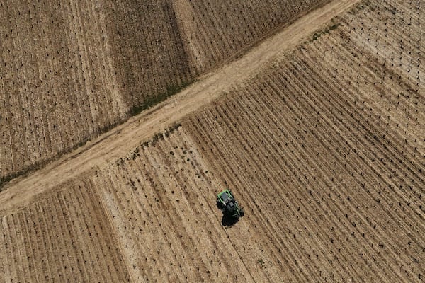 A tractor driving through the Chablis vineyards in Chablis, Burgundy region, eastern France, Thursday, April 3, 2025. (AP Photo/Thibault Camus)