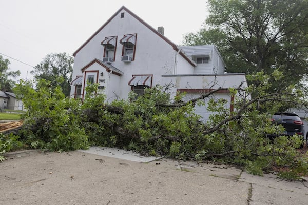 A broken tree lays in a yard from the previous night's severe thunderstorms in Bismarck, N.D., on Saturday, June 21, 2025. (Tanner Ecker /The Bismarck Tribune via AP)