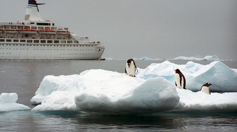 Penguins don’t care about time. But if you do, it theoretically can be any time you want in Antarctica, which covers all time zones. (Jill Schensul/The Record/TNS)