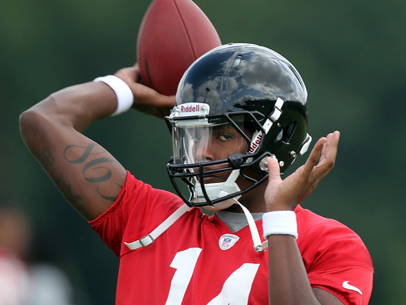 Dominique Davis (2012-2014)