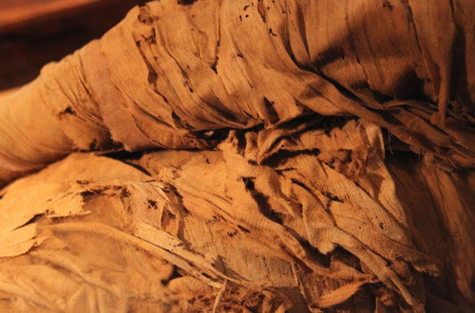 Old Kingdom mummy makes its debut at the Carlos Museum