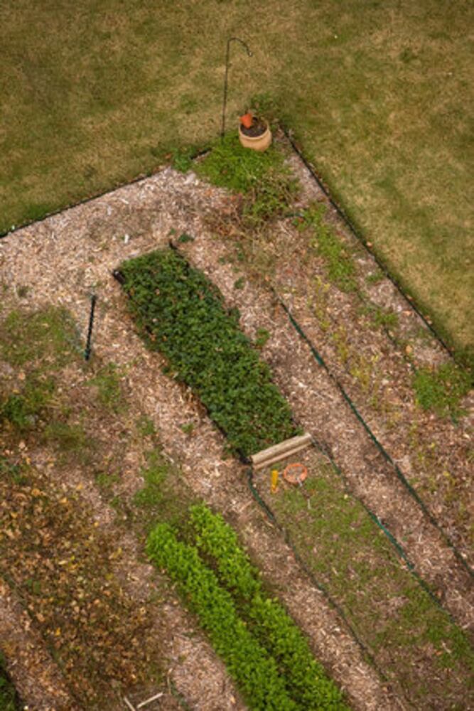 The community garden at Decatur Christian Towers