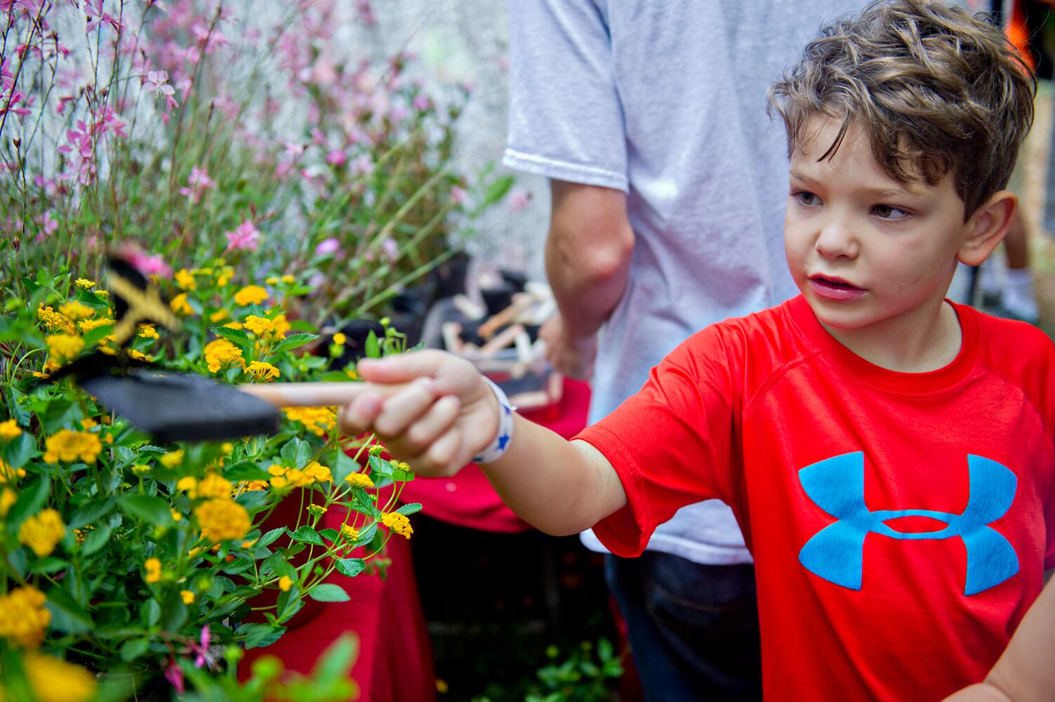 Butterfly Festival at Dunwoody Nature Center