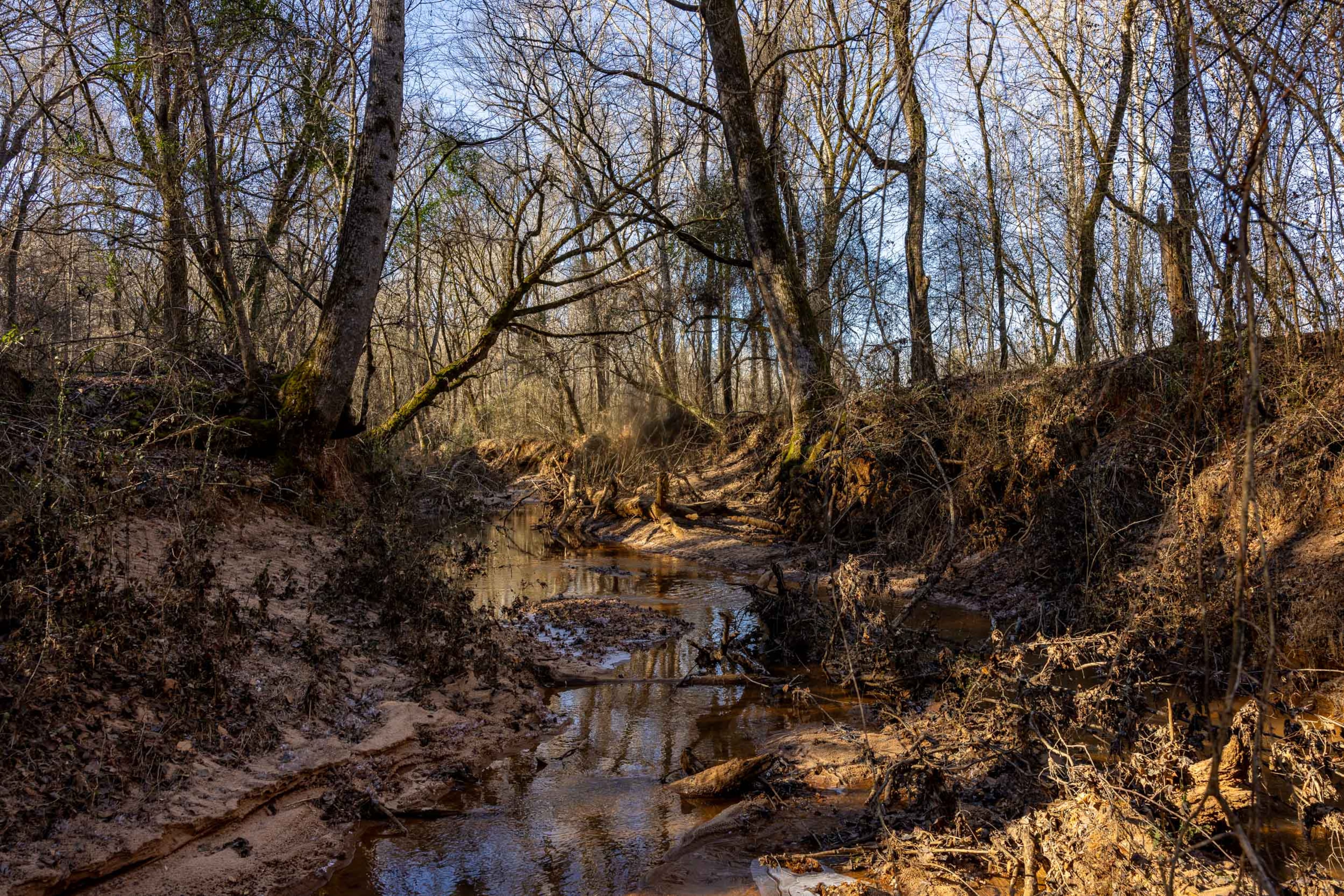 Former Southern Co. CEO Allen Franklin listed his 850-acre property and mansion near LaGrange for sale for $5.5 million. Photo courtesy of Oakwood Realty Group/David Cannon Photography.