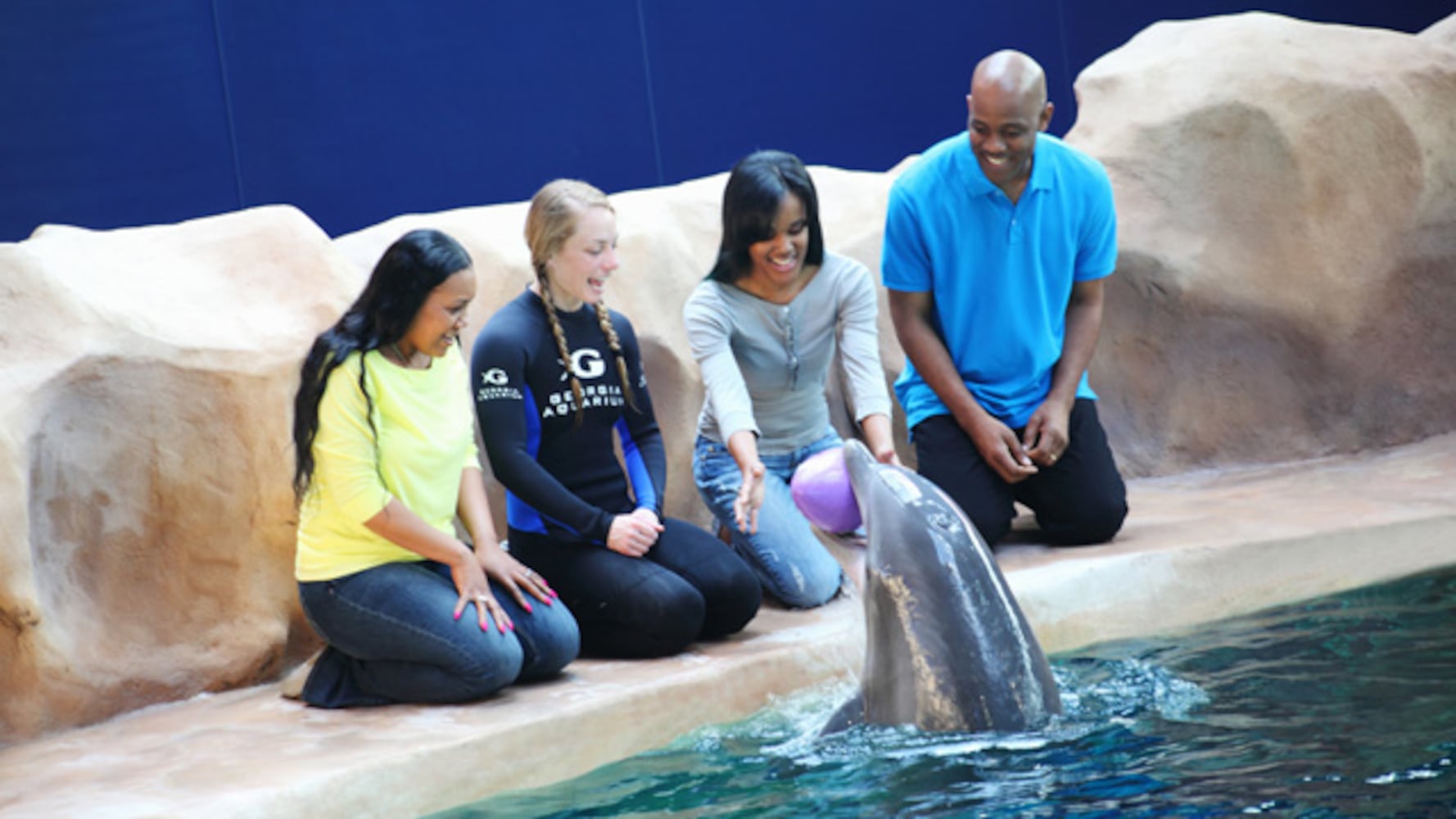 Dolphin Experience at the Georgia Aquarium