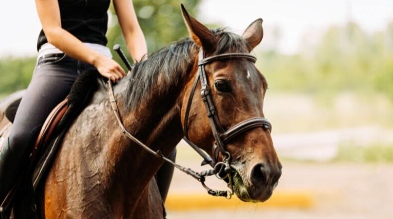 Due to an unstable streambed, the John Ward Creek crossing in Kennesaw Mountain National Battlefield Park is closed to horseback riders until further notice. (Courtesy of Cobb County)