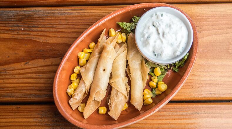 We've heard about college students gaining the "freshman 15," but what about campus rodents? One squirrel pictured on the Temple University campus may pack on the pounds due to his interesting taste in food.