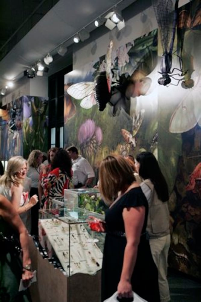Insect museum a hit in New Orleans