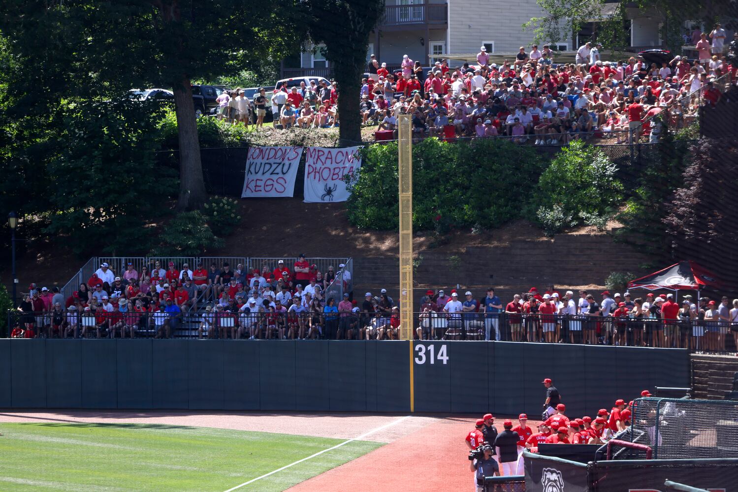 060924 bulldogs photo