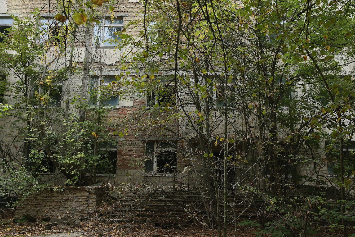 Chernobyl
