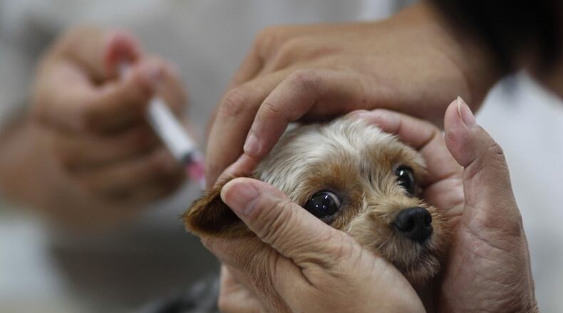 The Gwinnett County Sheriff’s Office and Gwinnett County Animal Welfare are offering low-cost pet vaccinations.