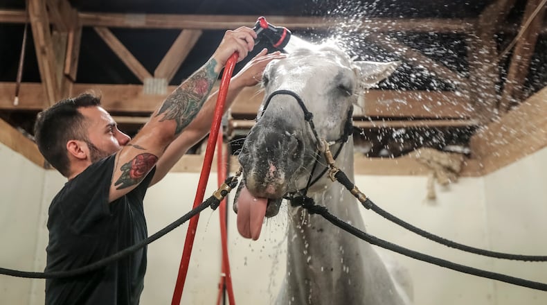 Horses of the Atlanta police mounted patrol get baths before going out and coming back in regardless of the heat index. Atlanta police officer, Juan Restrepo gives Hercules a bath in July 2022 before going out on patrol at the Atlanta Police Department Mounted Patrol stables. The mounted patrol find their horses plenty of shade during the summer months.