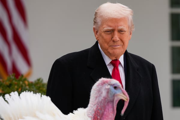 President Donald Trump is spending Thanksgiving in Florida, while Gobble will be enjoying life in North Carolina. (Julia Demaree Nikhinson/AP)
