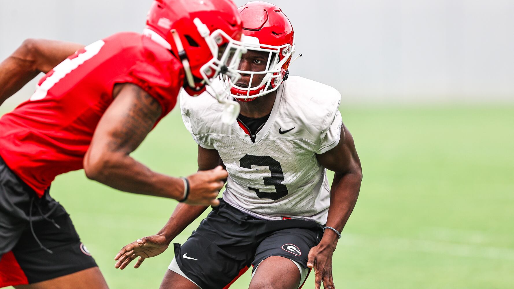 Georgia Bulldogs