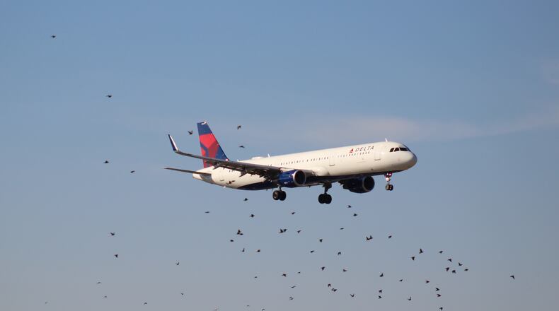 "I shoot planes a lot around the airport and sometime capture the unusual," wrote  Norbert Raith of Jonesboro. "Flocks of birds are a hazard and nuisance around aircraft. These were part of a much larger flock but most flew away as the Jet approached."