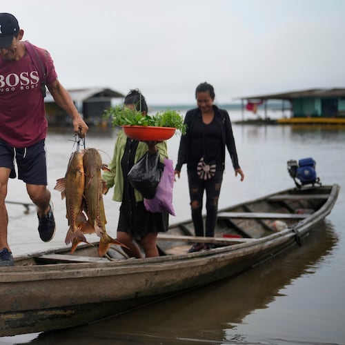 FILE - A man unloads fresh fish from a boat in Puerto Narino, Colombia, along the Amazon River, Sept. 7, 2025. (AP Photo/Fernando Vergara, File)