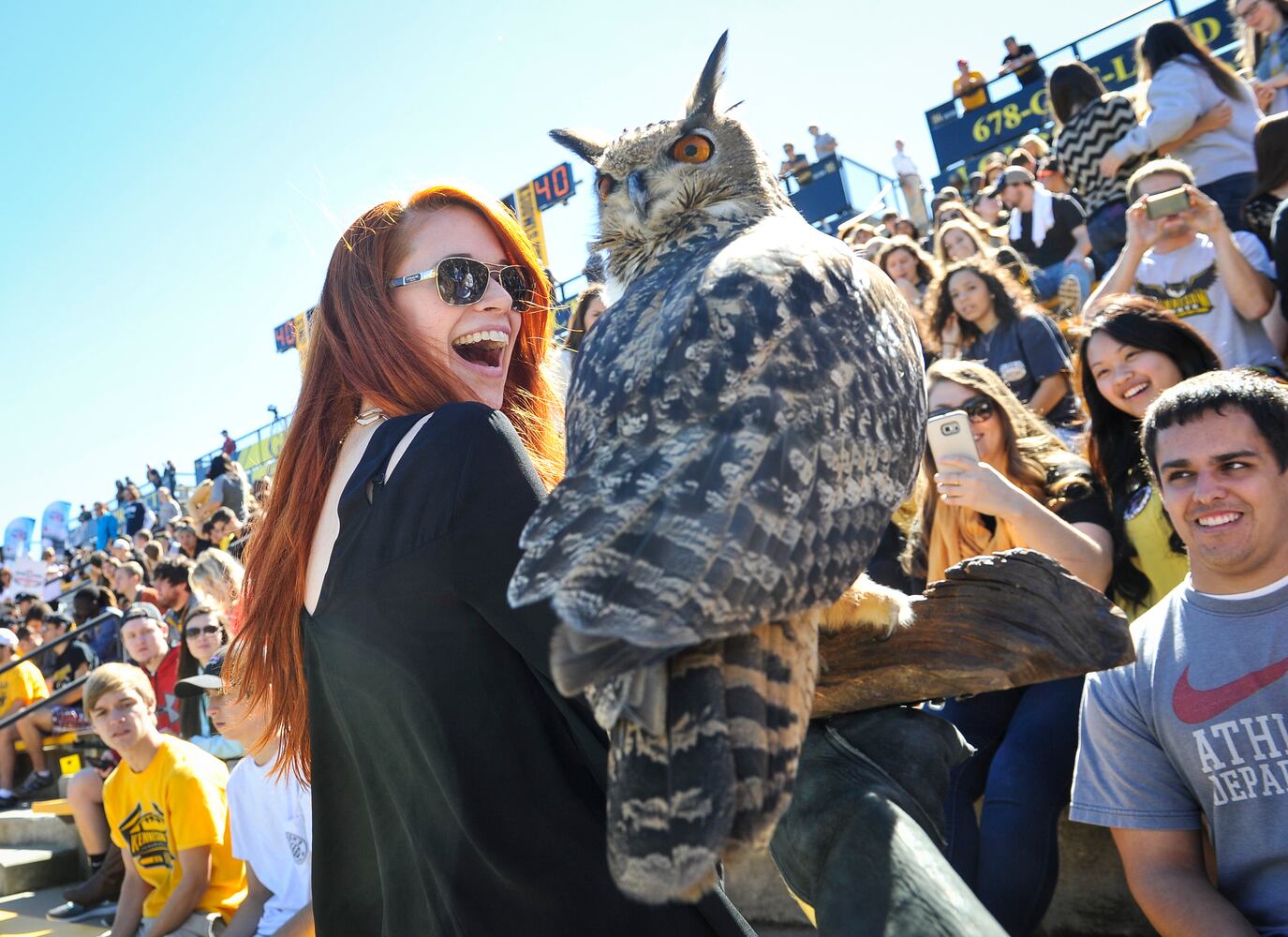 Owls celebrate historic win
