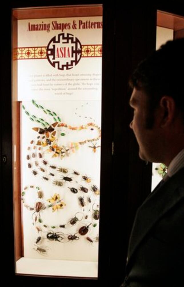 Insect museum a hit in New Orleans