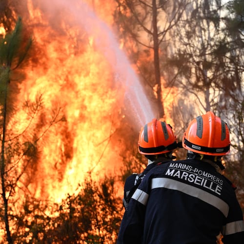 Firefighters work to extinguish a fire in the forest near Blagon, during wildfires in southwestern France, Wednesday, July 29, 2026. (AP Photo/Emma Da Silva)