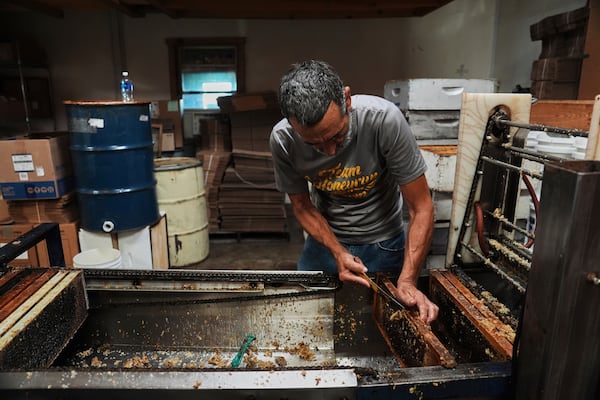 An employee scrapes raw honey off of a honeycomb while working Tuesday, June 24, 2025, at Honeyrun Farm in Williamsport, Ohio. (AP Photo/Joshua A. Bickel)