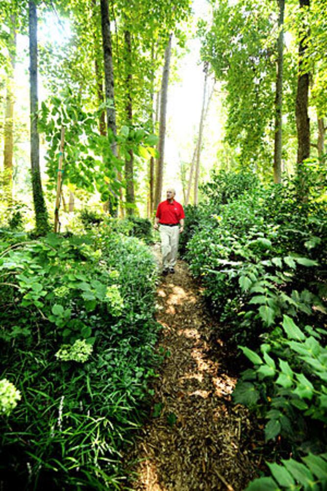 Vince Dooley's Amazing Garden