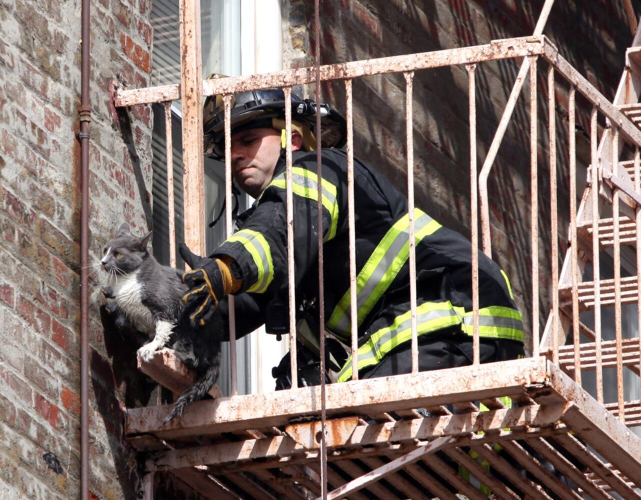 Apartment Building Blaze