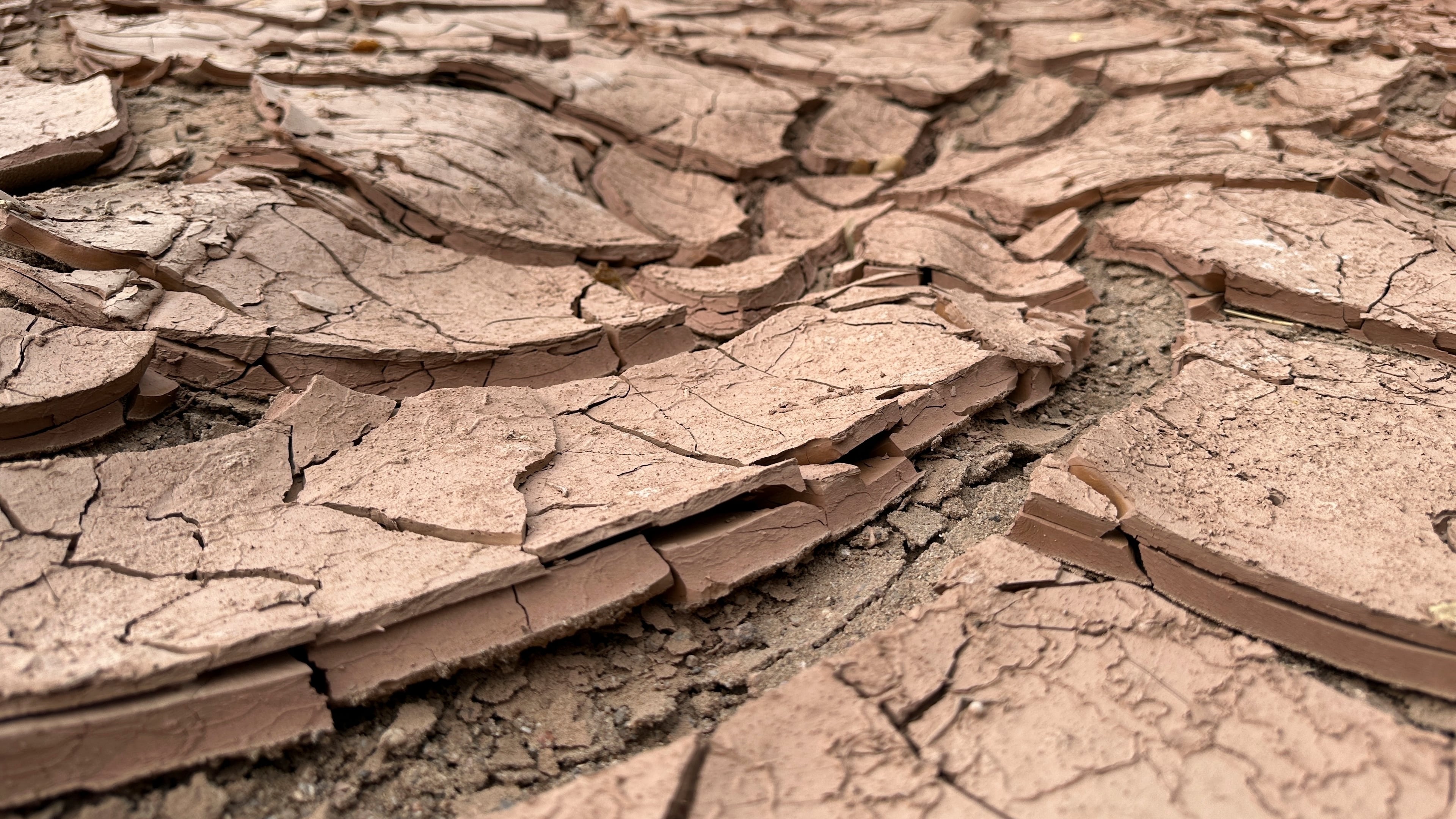 FILE - Cracked, dry mud makes up the riverbed of the Rio Grande in Albuquerque, N.M., on Thursday, Aug. 21, 2025. (AP Photo/Susan Montoya Bryan, File)
