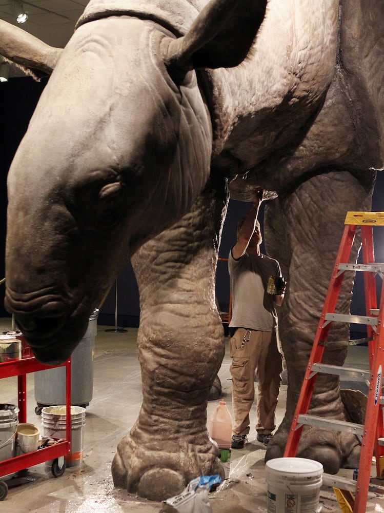 'Extreme Mammals' exhibit at Fernbank Museum