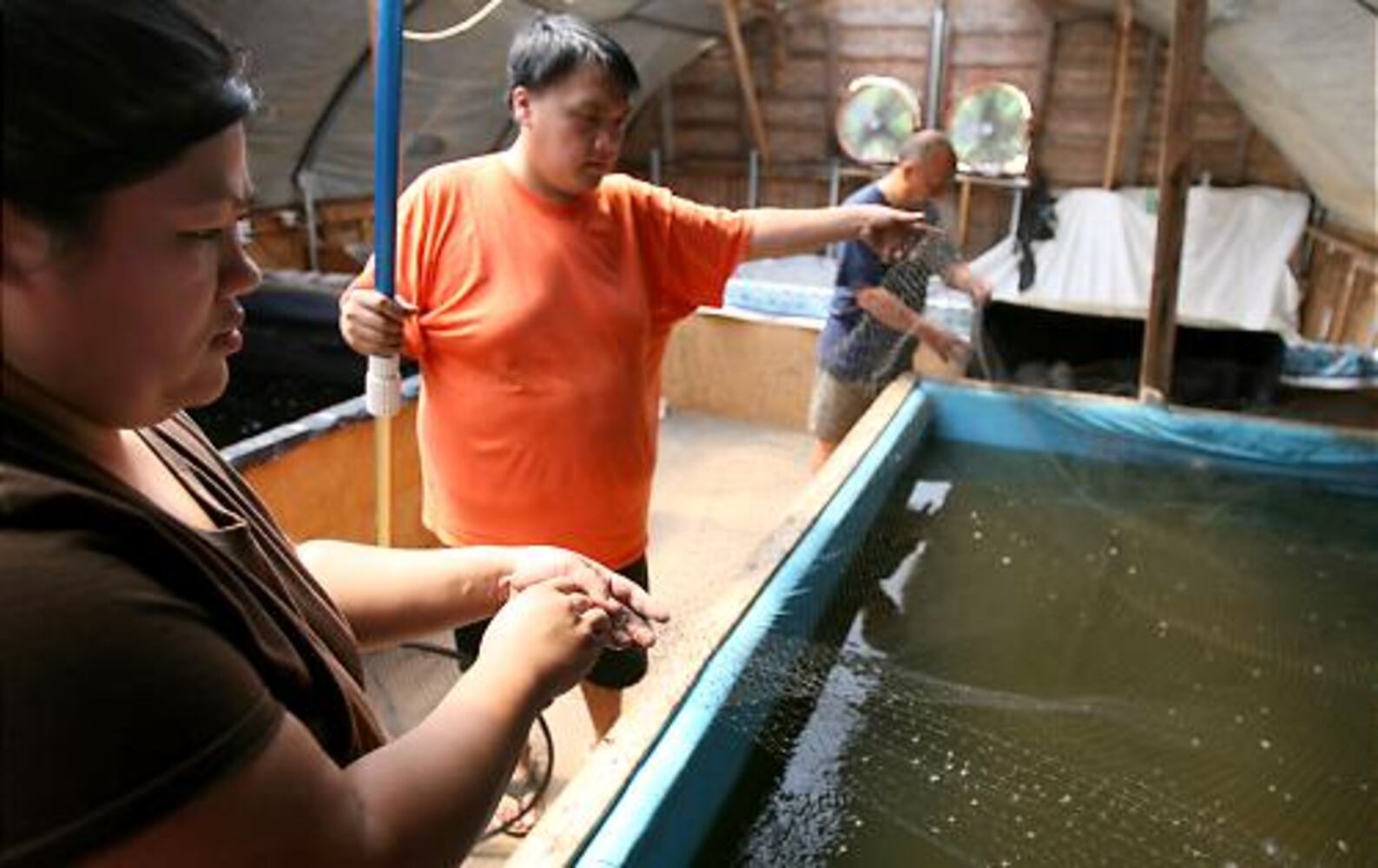 North Georgia's Koi Farm