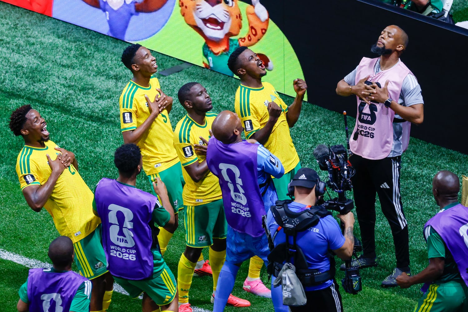 fifa world cup south africa versus Czechia