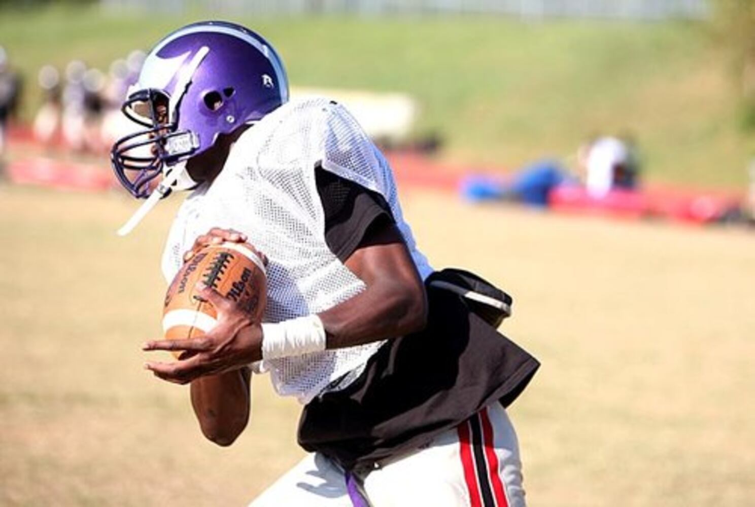 High School Football: Miller Grove Wolverines