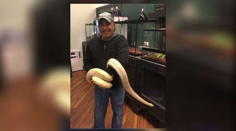 Three boa constrictor snakes were stolen from an exotic pet store.