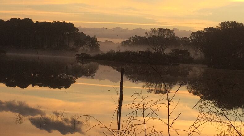 Ann Price submitted this photo of sunrise at Harris Neck Wildlife Refuge. What was once a cotton plantation and later a military airstrip became a wildlife refuge in 1962. Through 2001, the federal government with the help of The Nature Conservancy, acquired additional lands bringing the refuge to its current size of 2,824 acres.